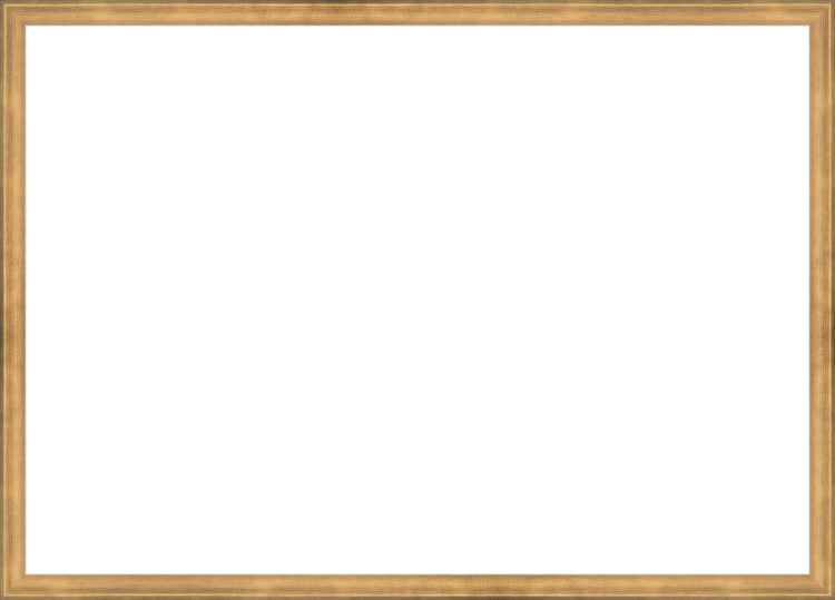 Timeless Gold Frame. Opening Size: 19x27. Final Size: 20'' X 28''