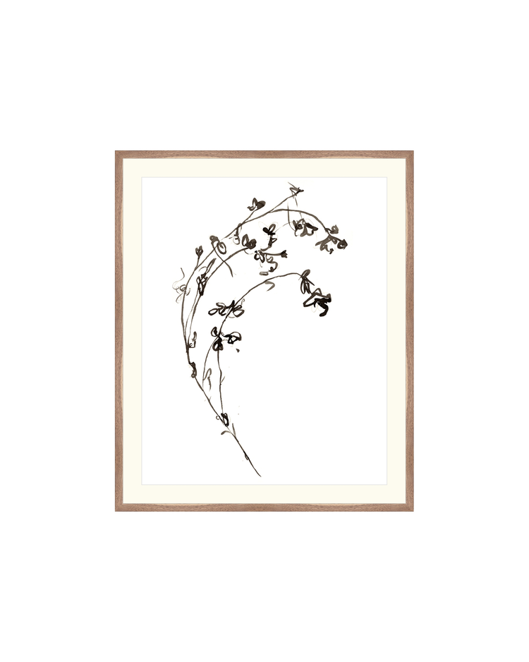 Botanical Ink Study I HoJ