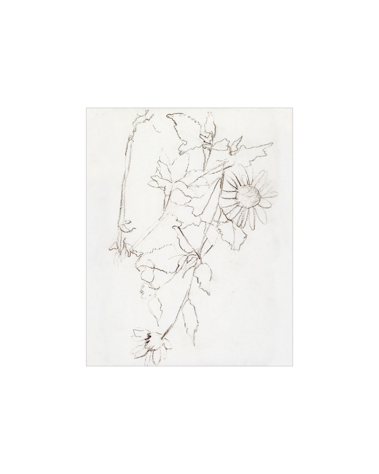 Botanical Study III HoJ