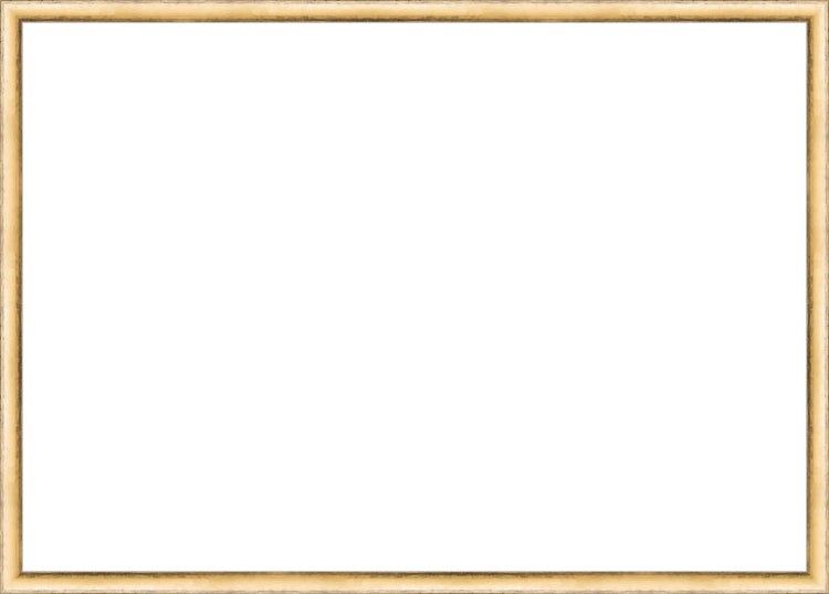 Deep Silver Leafed Frame. Opening Size: 19x27. Final Size: 20'' X 28''