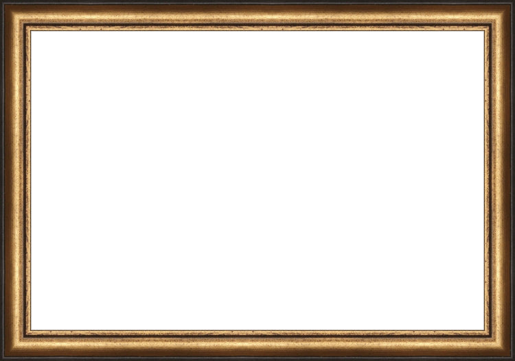 Distressed Gold and Black Frame. Opening Size: 10x15. Final Size: 11'' X 16''