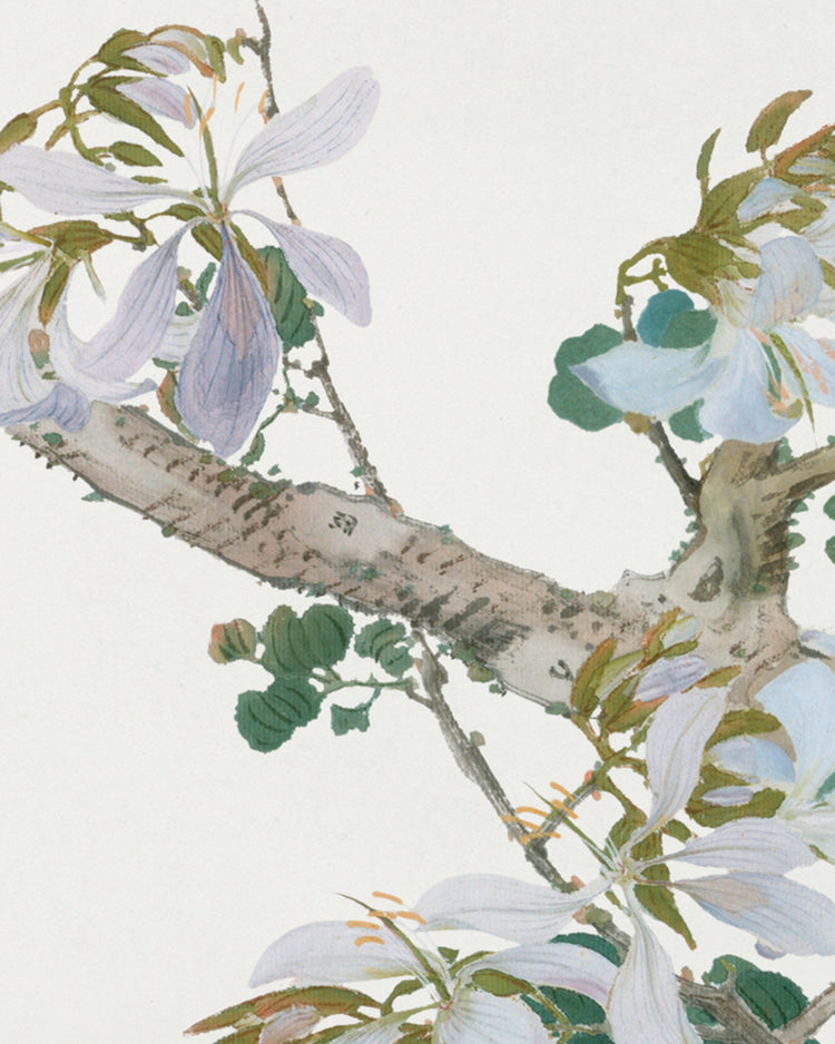 Spring Garden II