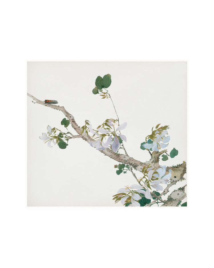 Spring Garden II