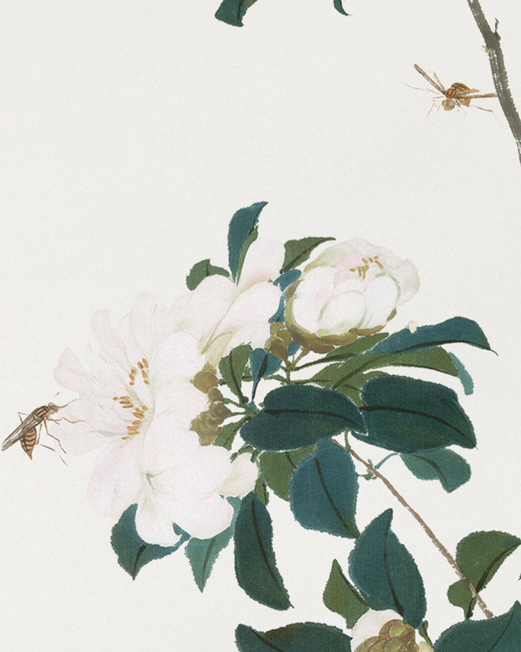 Garden III