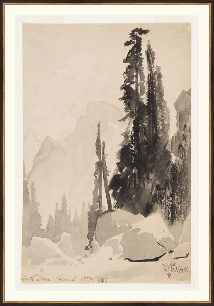 Antique Trees Drawing OAShop 2