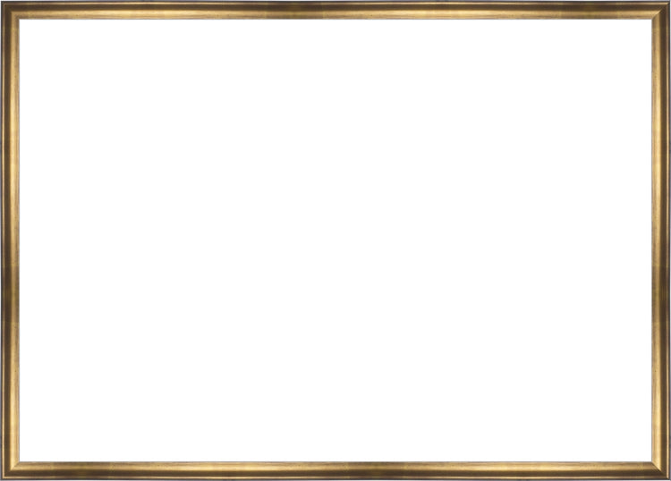 Muted Gold Frame. Opening Size: 19x27. Final Size: 20'' X 28''