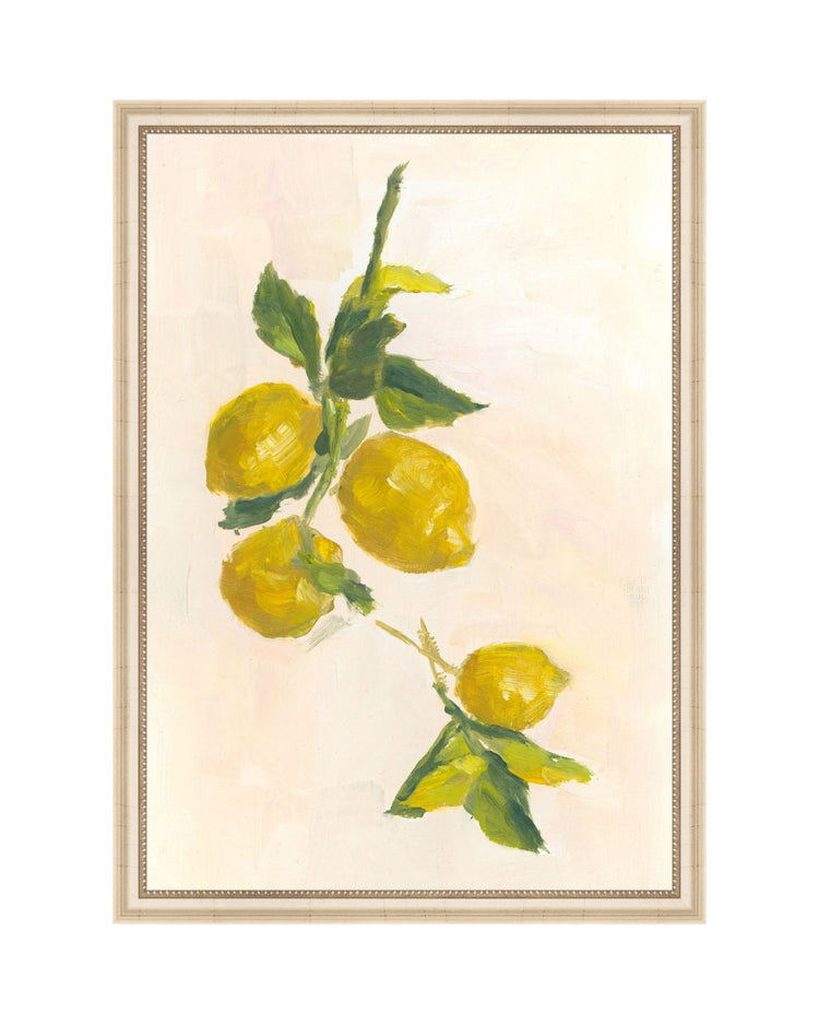 Lemon Branch