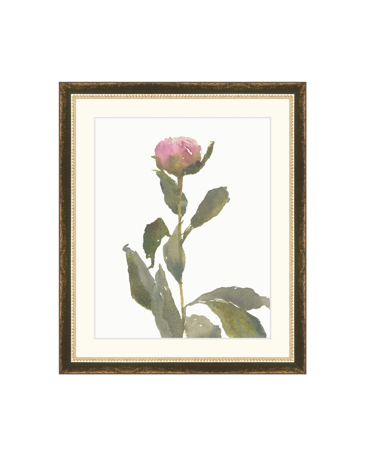 Single Rose