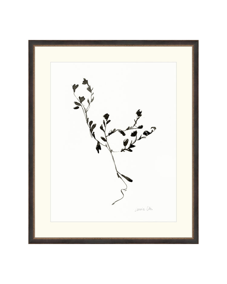 Sketched Botanical