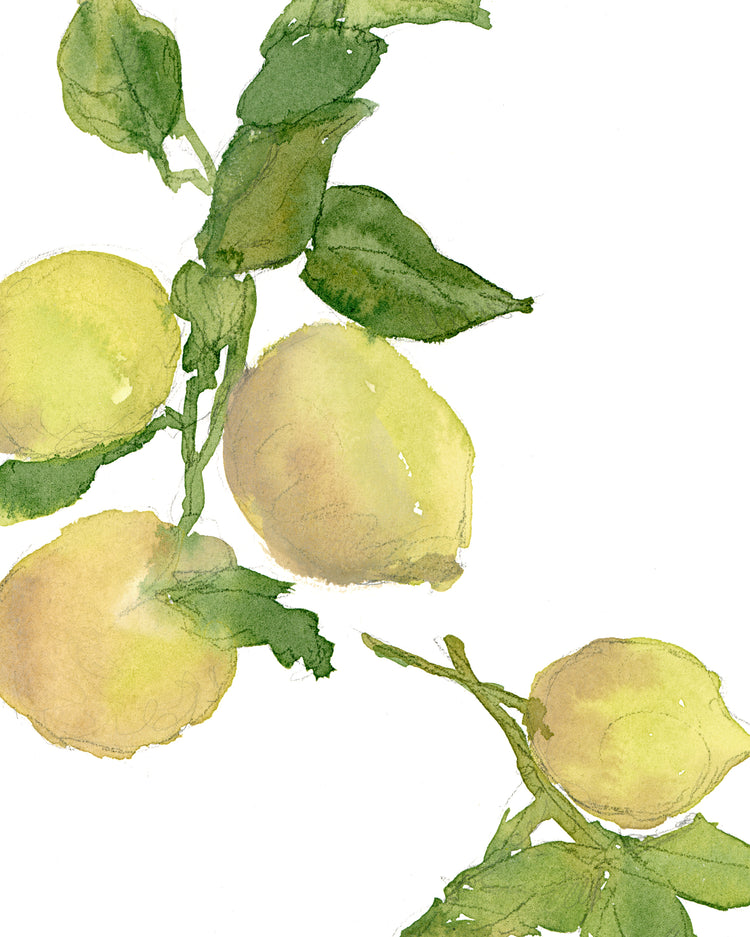 Watercolor Lemon Branch