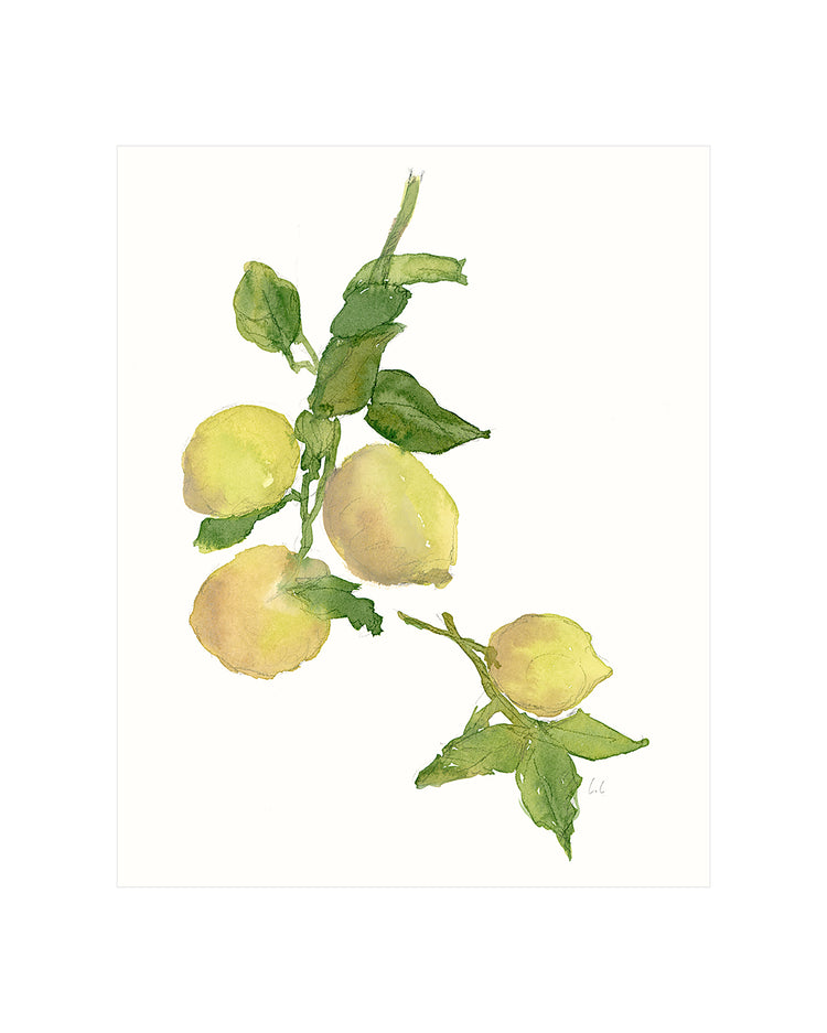 Watercolor Lemon Branch