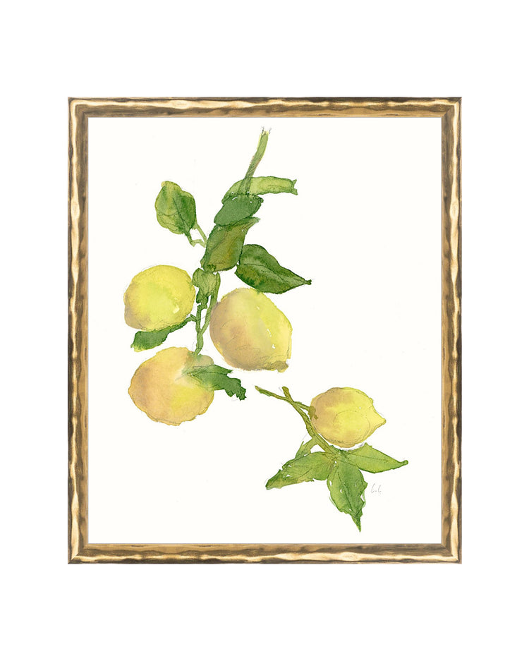 Watercolor Lemon Branch