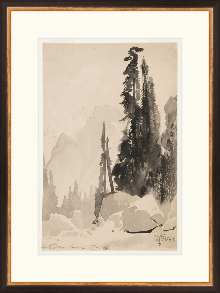 Antique Trees Drawing OAShop 2