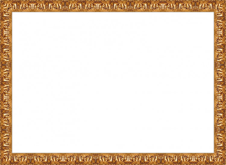 Valencia Gold Frame. Opening Size: 12x17. Final Size: 13'' X 18''