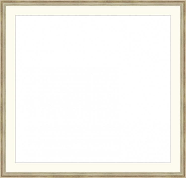 Classic Silver Frame. Opening Size: 19x20. Final Size: 23'' X 24''