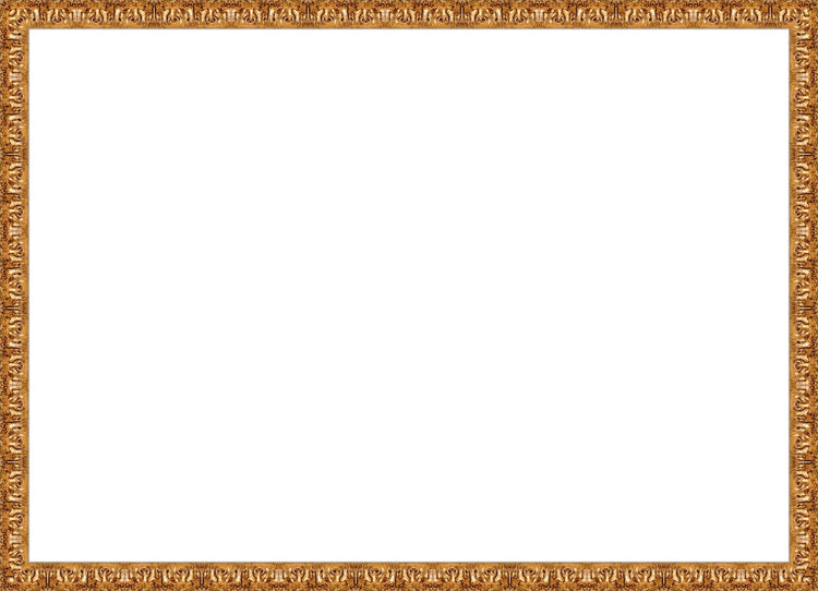 Valencia Gold Frame. Opening Size: 19x27. Final Size: 20'' X 28''