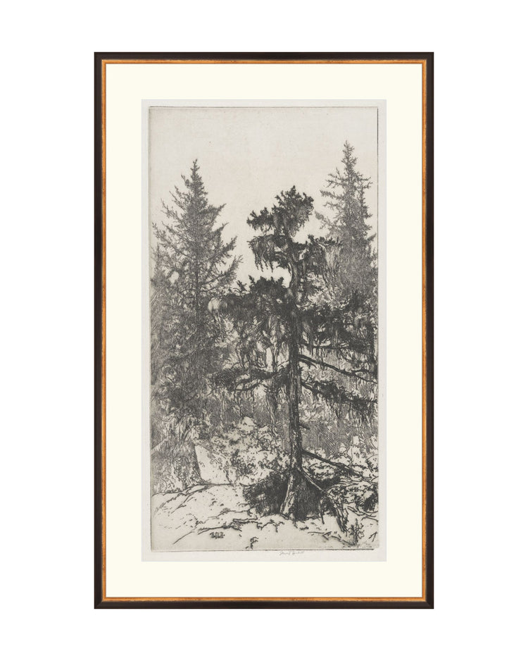 Trees Etching 2