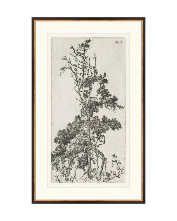 Trees Etching 4