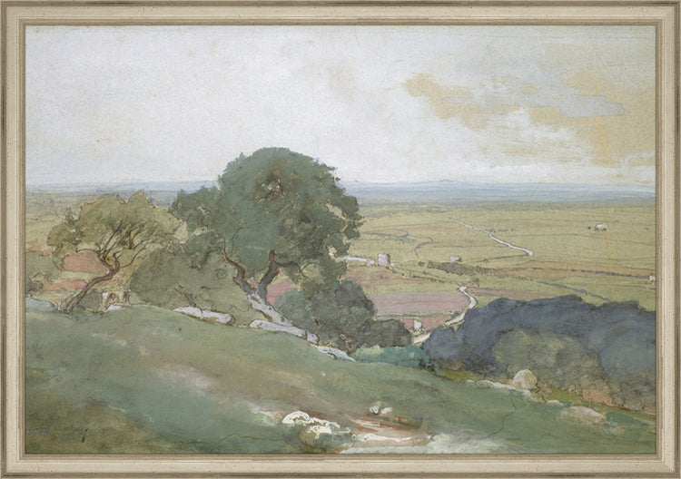 Framed Olivos. Frame: Traditional Silver. Paper: Rag Paper. Art Size: 13x19. Final Size: 14'' X 20''