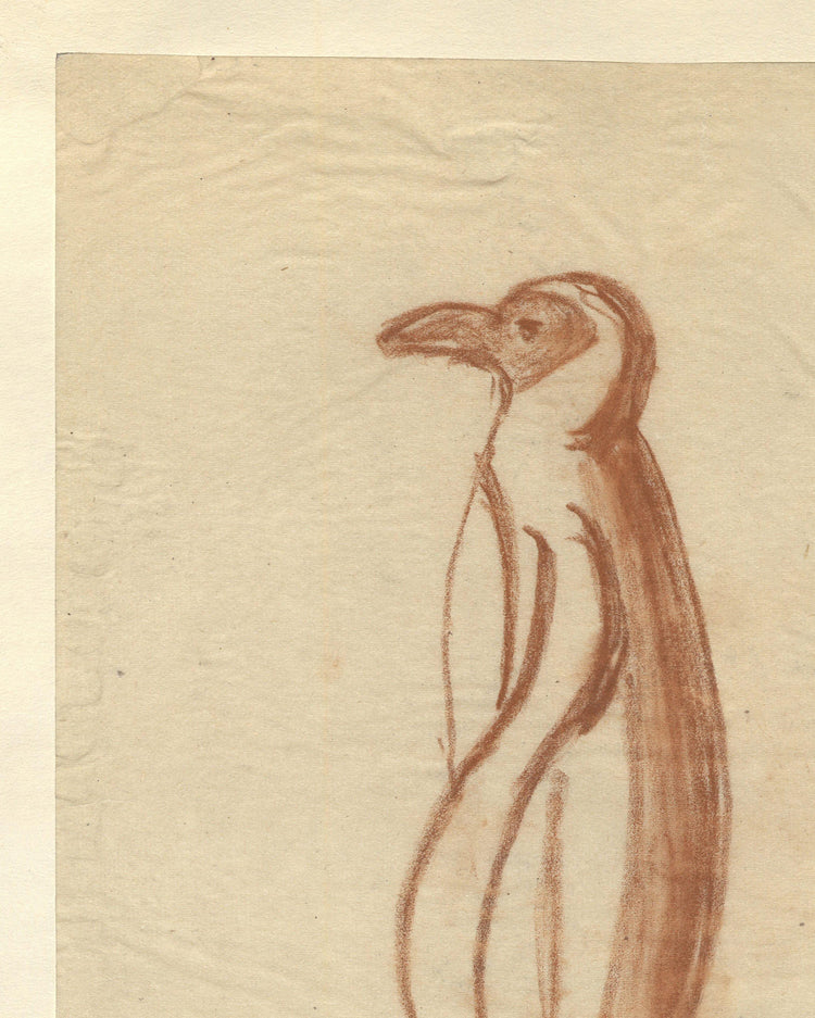 Penguin Sketch