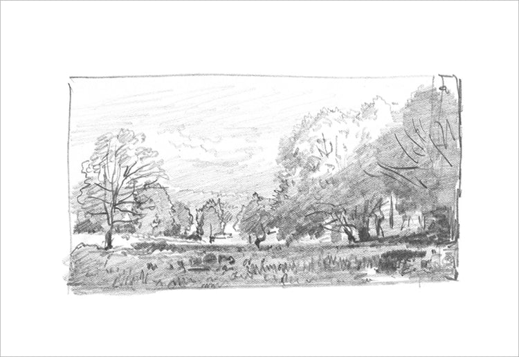 Framed Charcoal Trees 1. Frame: No Frame. Paper: Rag Paper. Art Size: 11x16. Final Size: 11'' X 16''