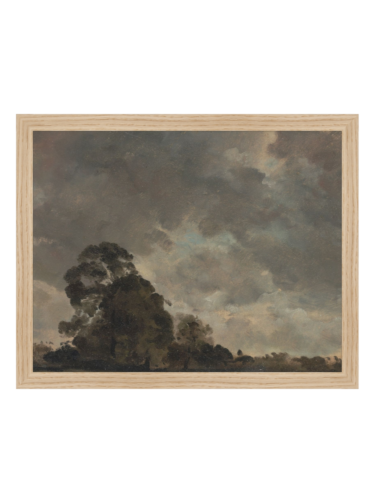Trees on the Horizon HoJ 2