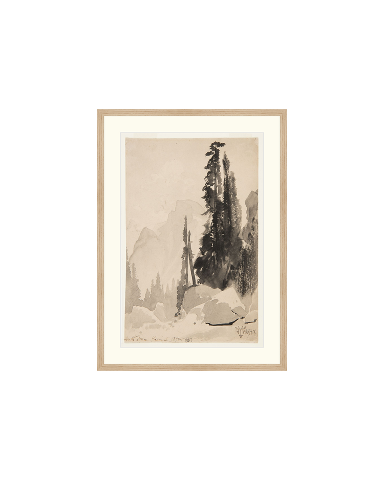 Antique Trees Drawing OAShop