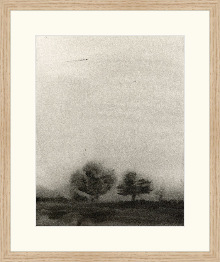 Trees In The Mist OAShop 2