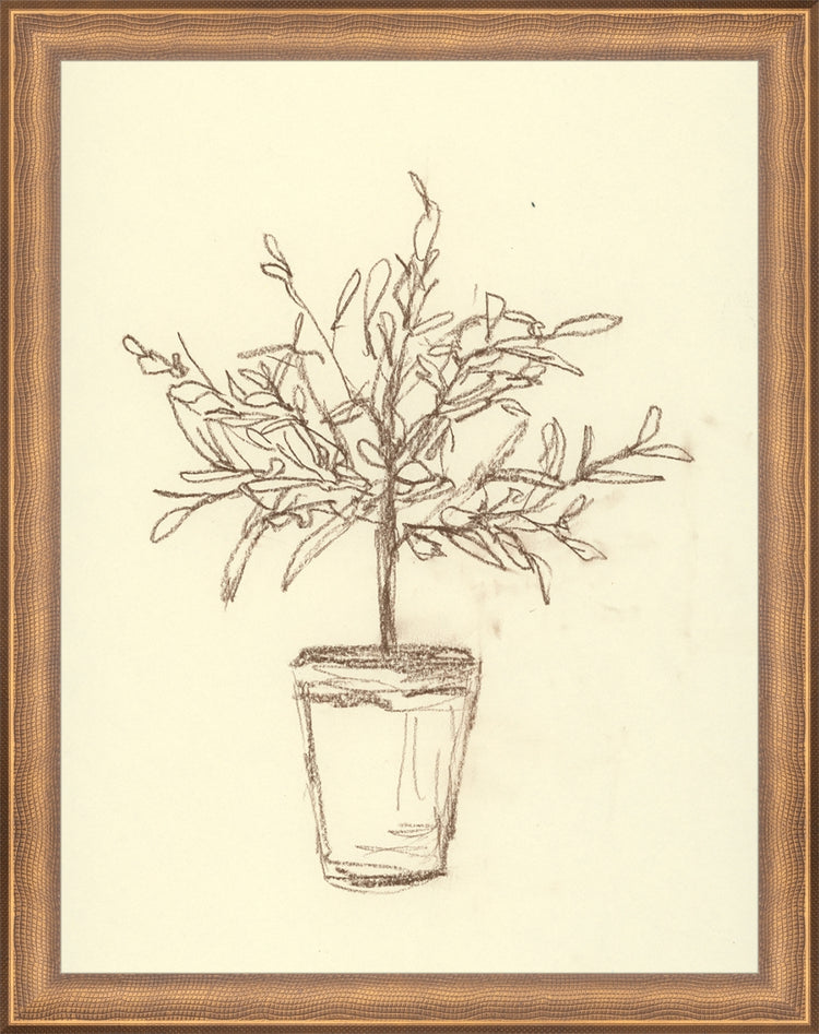 Framed Olive Tree Sketch. Frame: Timeless Bronze. Paper: Rag Paper. Art Size: 13x10. Final Size: 14'' X 11''