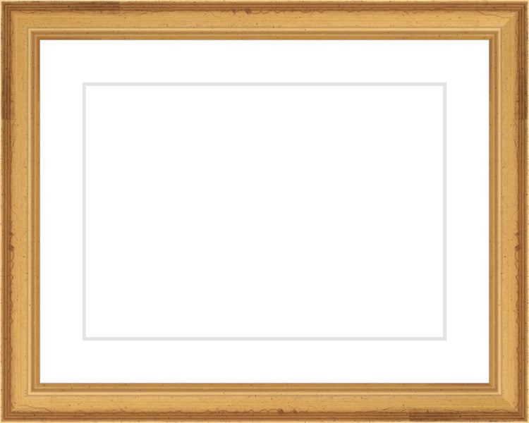 Traditional Gold Frame. Opening Size: 5x7. Final Size: 8'' X 10''