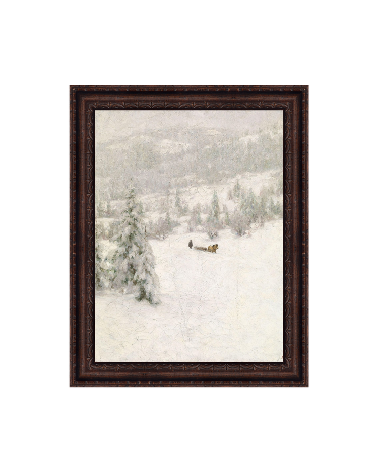 Horse in the Snow
