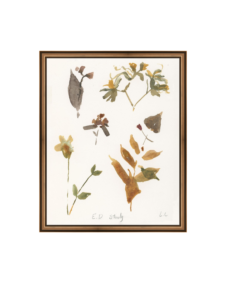E.D Botanical Study