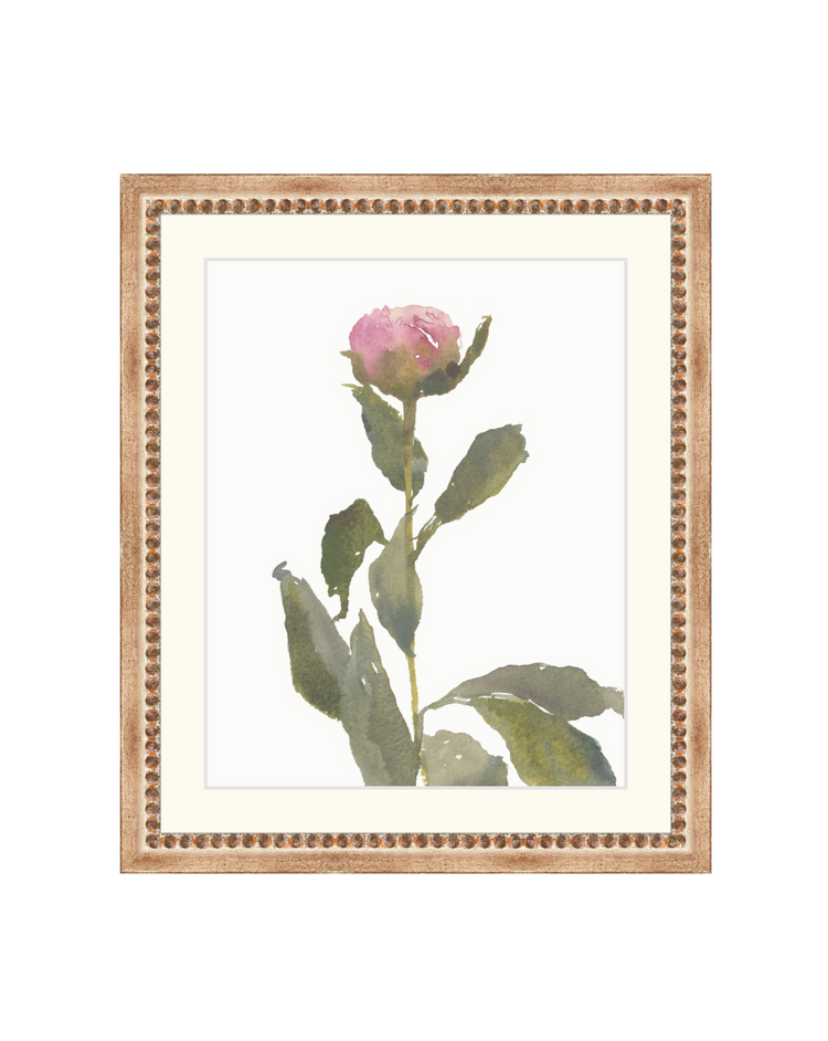 Single Rose