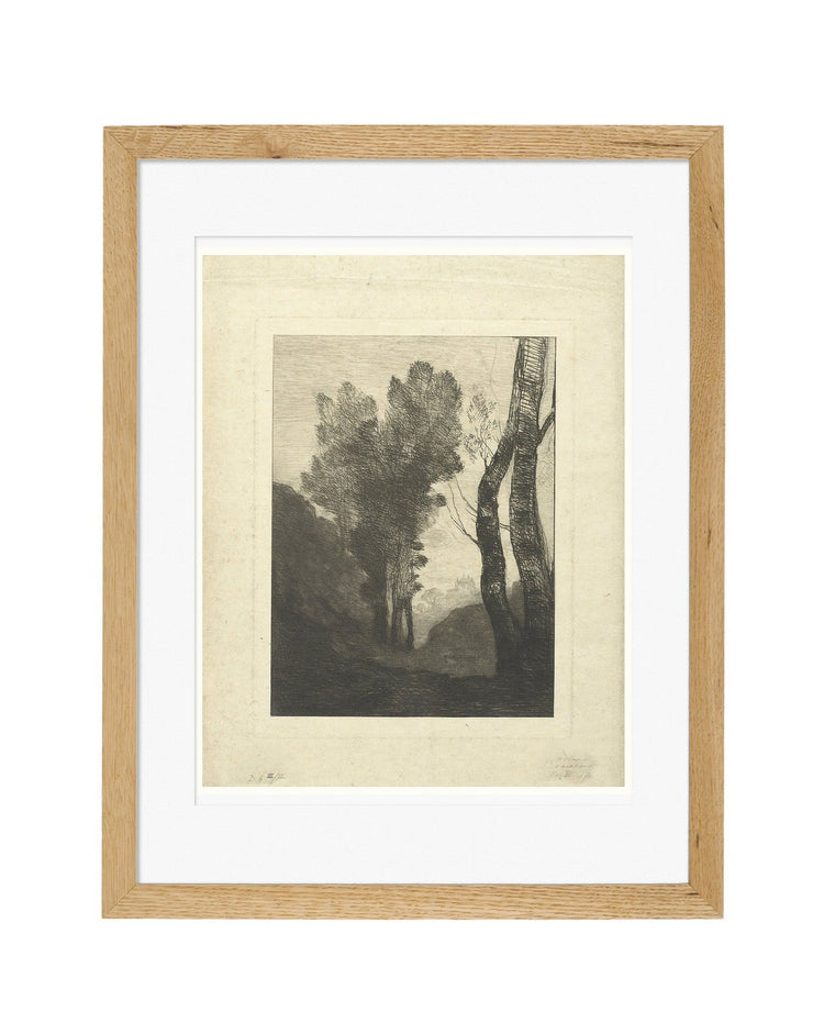 Trees