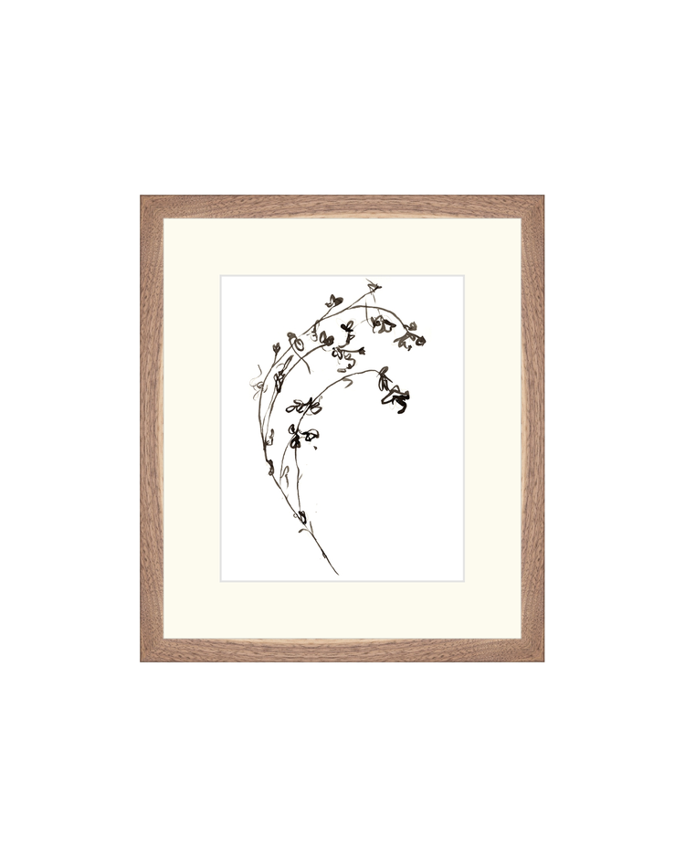 Botanical Ink Study I HoJ