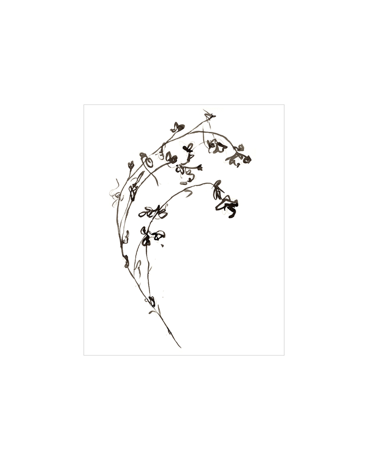 Botanical Ink Study I HoJ