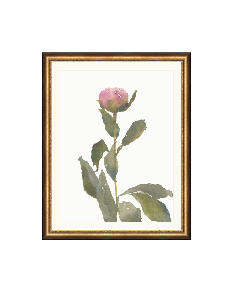 Single Rose