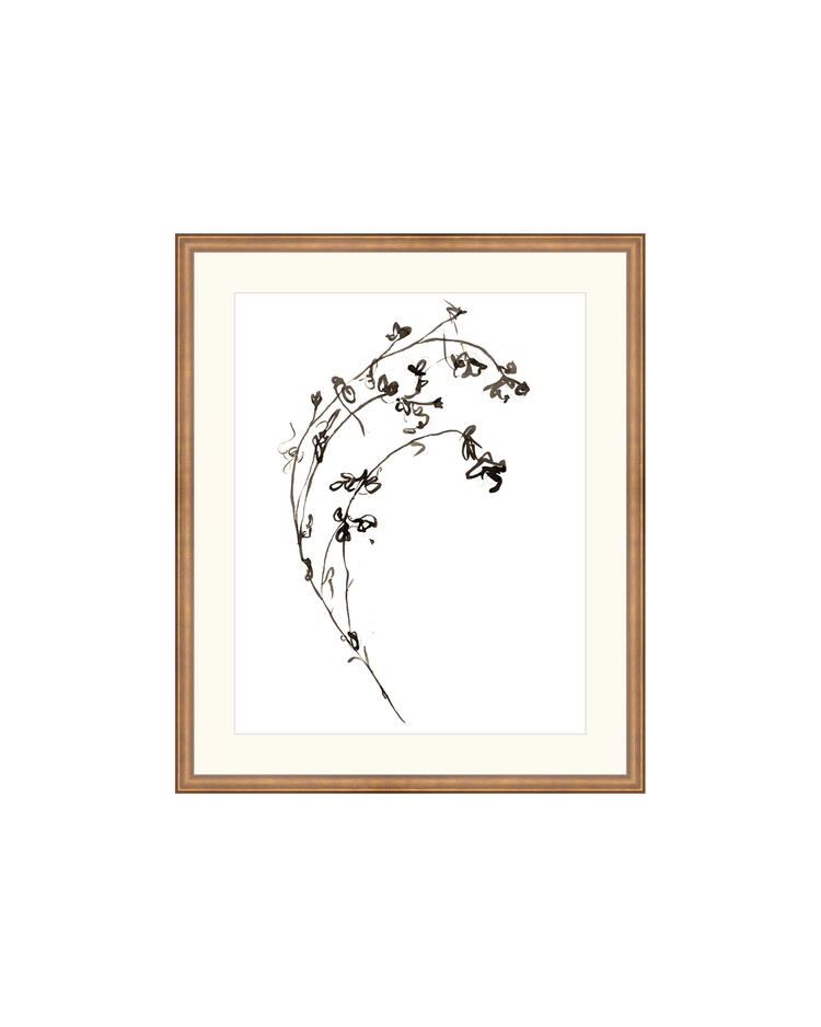 Botanical Ink Study I HoJ
