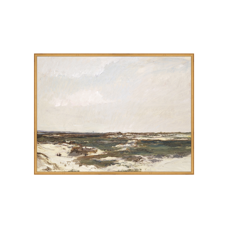 Calais Dunes AIShop