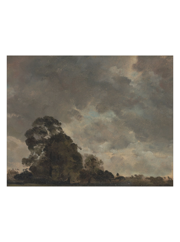 Trees on the Horizon HoJ 2
