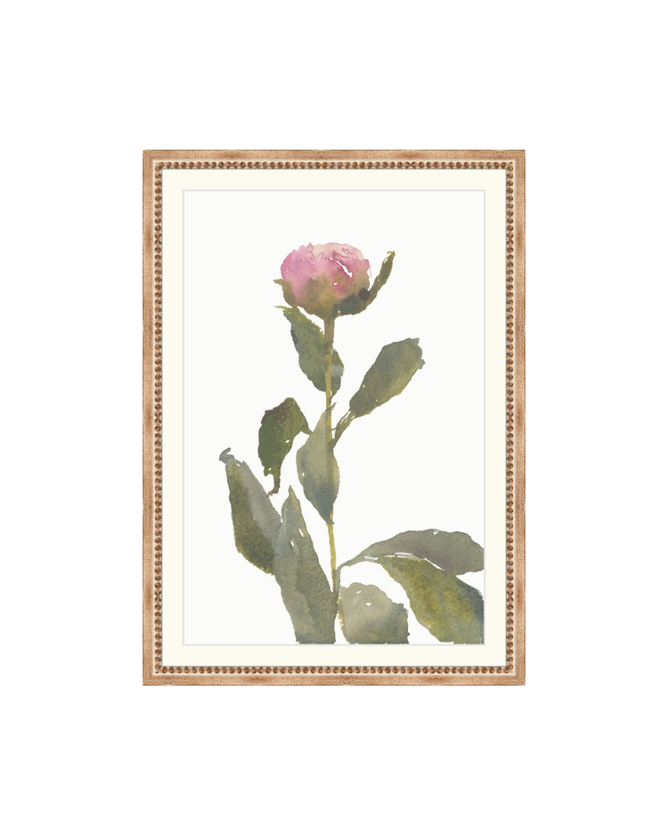 Single Rose