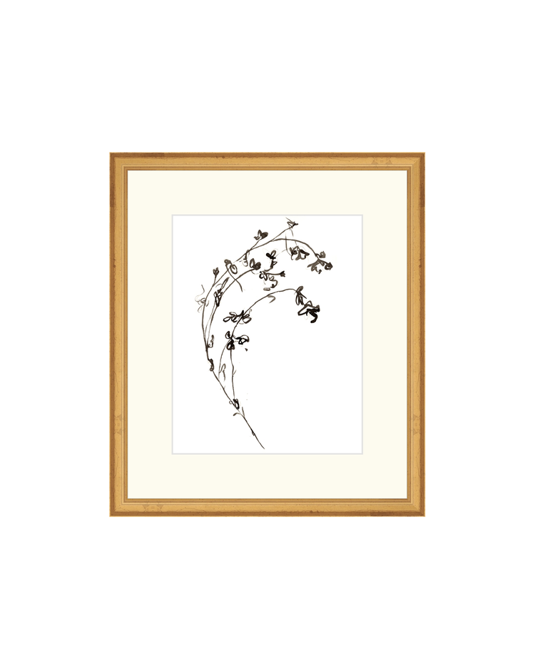 Botanical Ink Study I HoJ