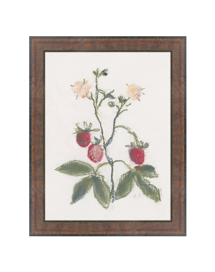 Strawberry Branch
