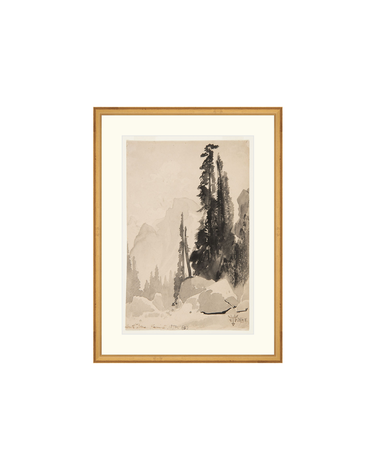 Antique Trees Drawing OAShop