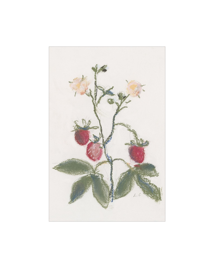 Strawberry Branch