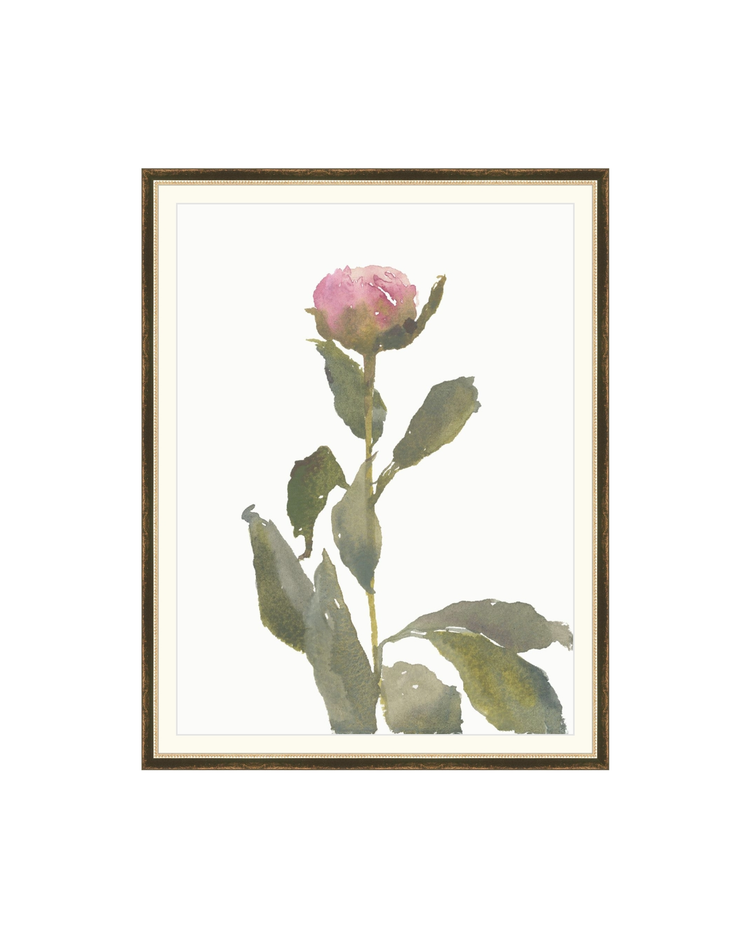 Single Rose