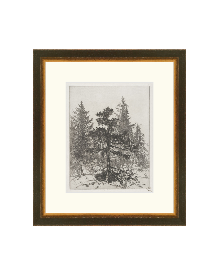 Pine Etching