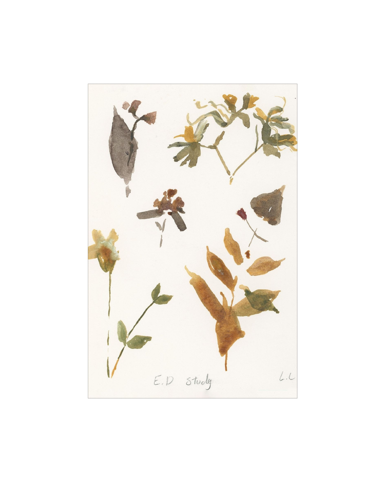 E.D Botanical Study
