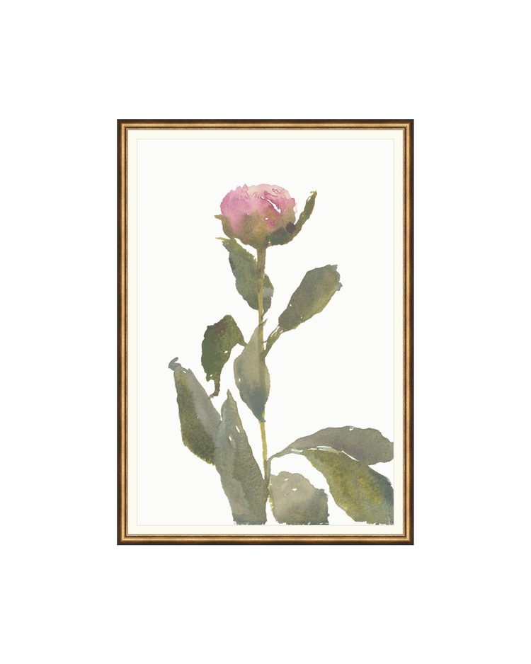 Single Rose