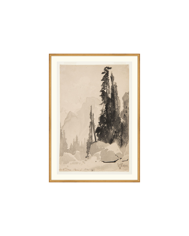 Antique Trees Drawing OAShop